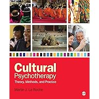 Amazon.com: Addressing Cultural Complexities in Practice